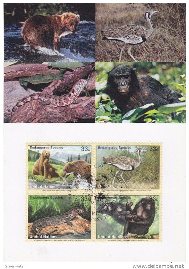 United Nations New York 2000 Animals / Endangered Species 4v Maxicard (32472) - Cartes-maximum