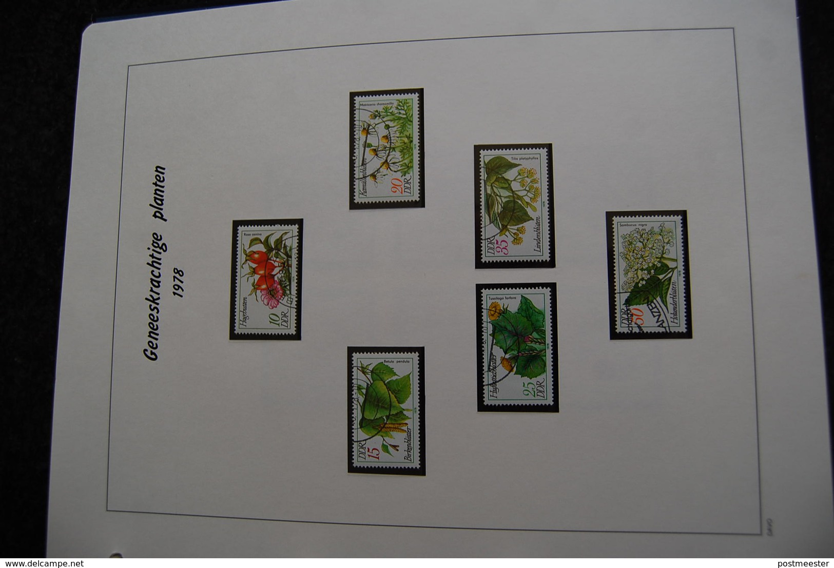 Thema verzameling bloemen en planten in Davo ringmapmet slipcase.