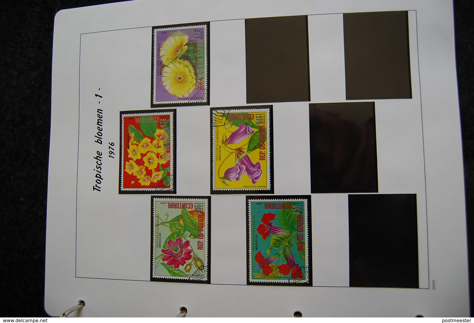 Thema verzameling bloemen en planten in Davo ringmapmet slipcase.