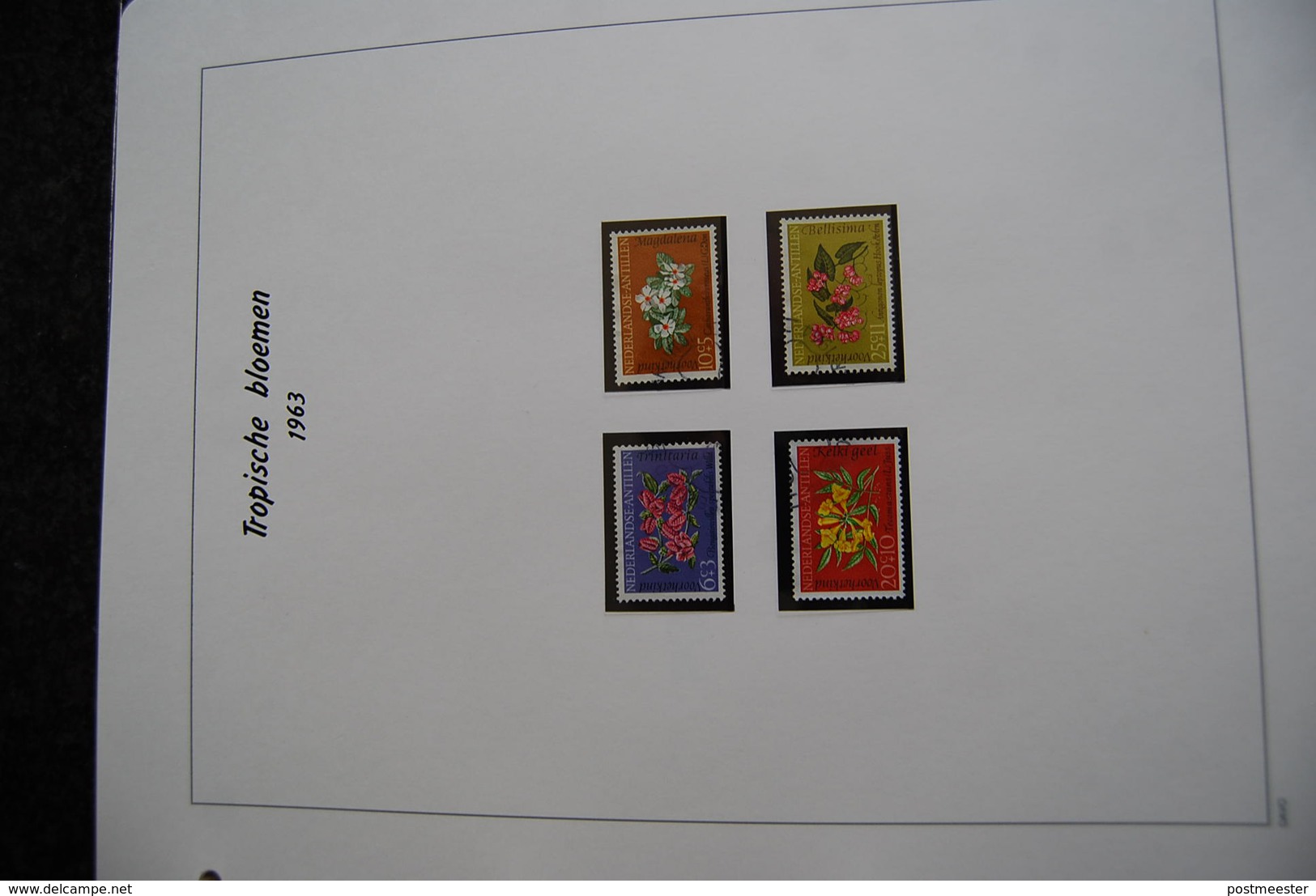 Thema verzameling bloemen en planten in Davo ringmapmet slipcase.