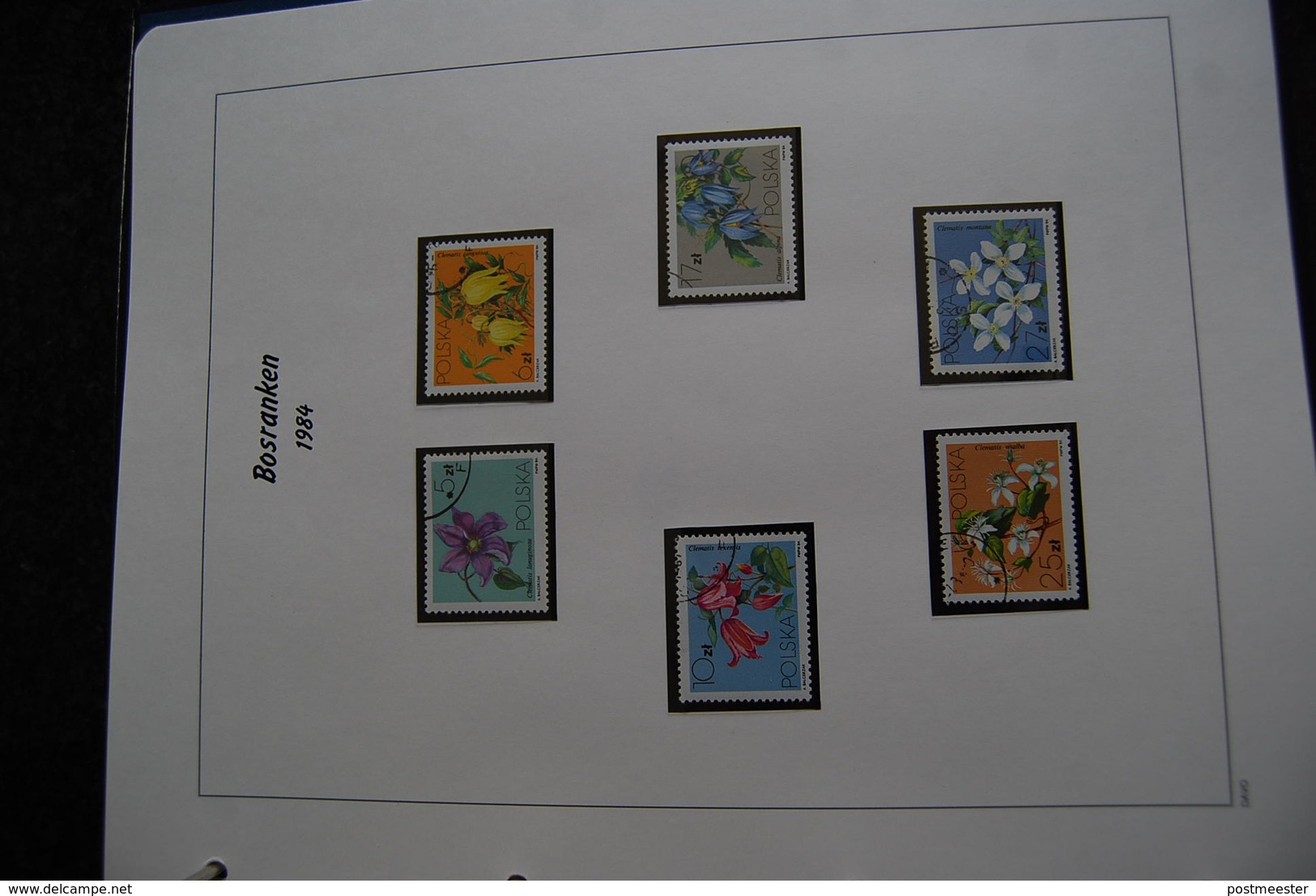 Thema verzameling bloemen en planten in Davo ringmapmet slipcase.