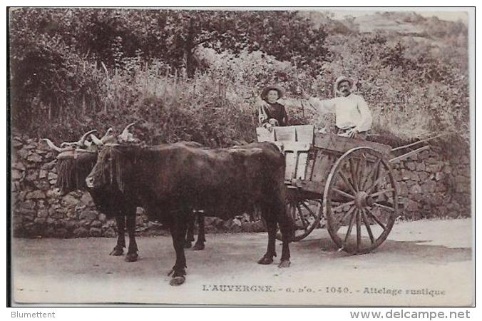 CPA AUVERGNE Type Métier Non Circulé Attelage Olliergues - Auvergne