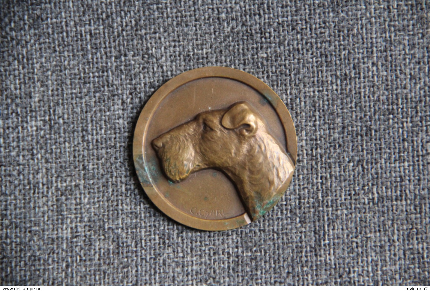 Belle Médaille Représentant Un Chien De Chasse , Type Terrier, Signée Par Le Graveur  C. CHARL . - Professionnels / De Société