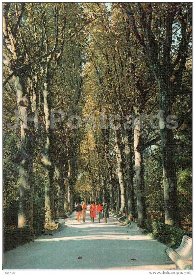 Platon Alley - Gagra - Abkhazia - 1983 - Georgia USSR - Unused - Géorgie