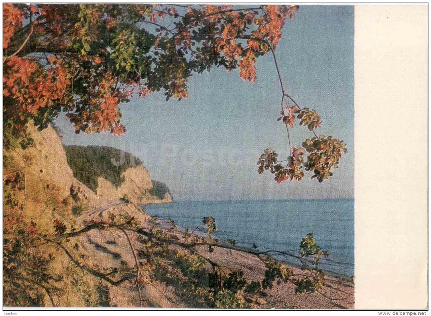 Sea View - Pitsunda - Postal Stationery - 1969 - Georgia USSR - Unused - Géorgie