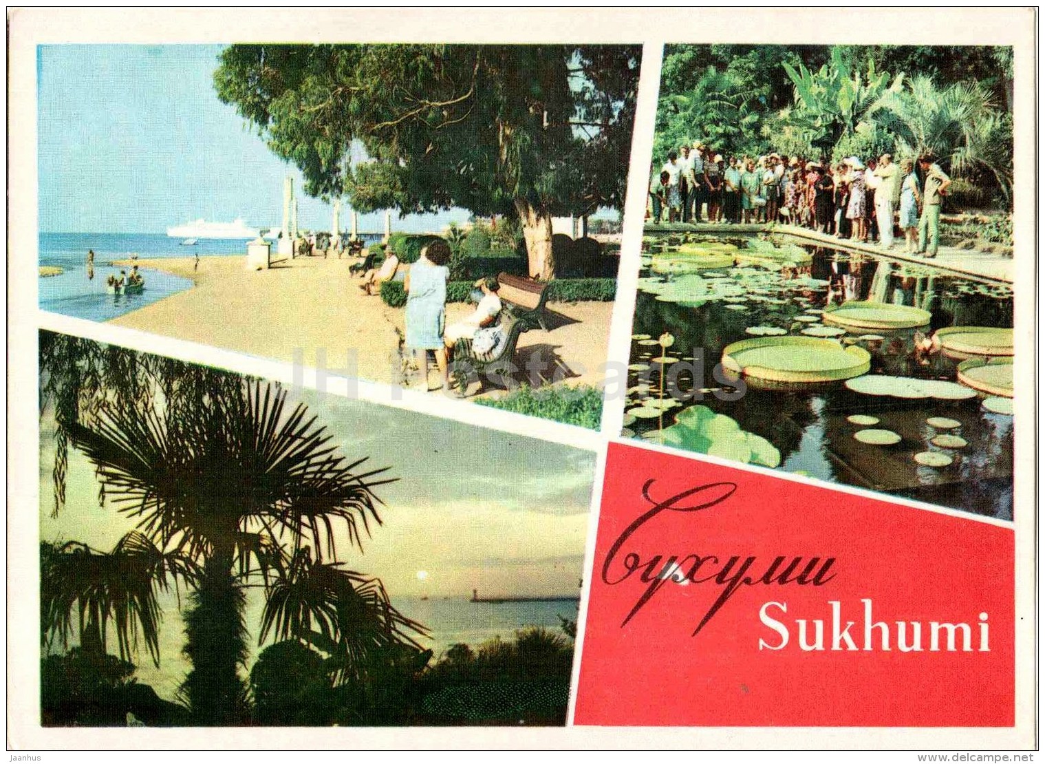 Primorsky Boulevard - Botanical Garden - Sukhumi - Abkhazia - 1968 - Georgia USSR - Unused - Géorgie