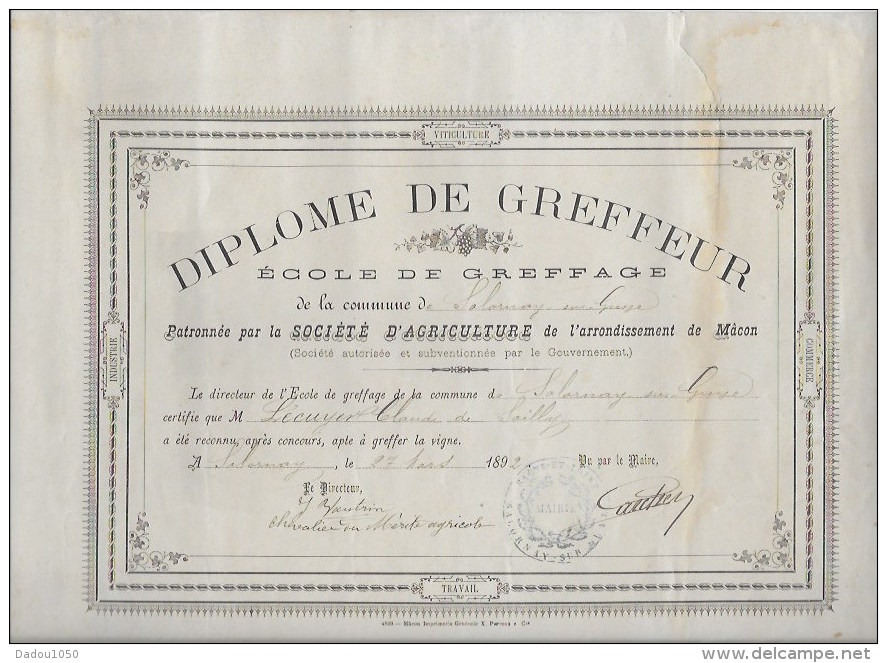 Diplome De Greffeur 1892 - Diplomas Y Calificaciones Escolares