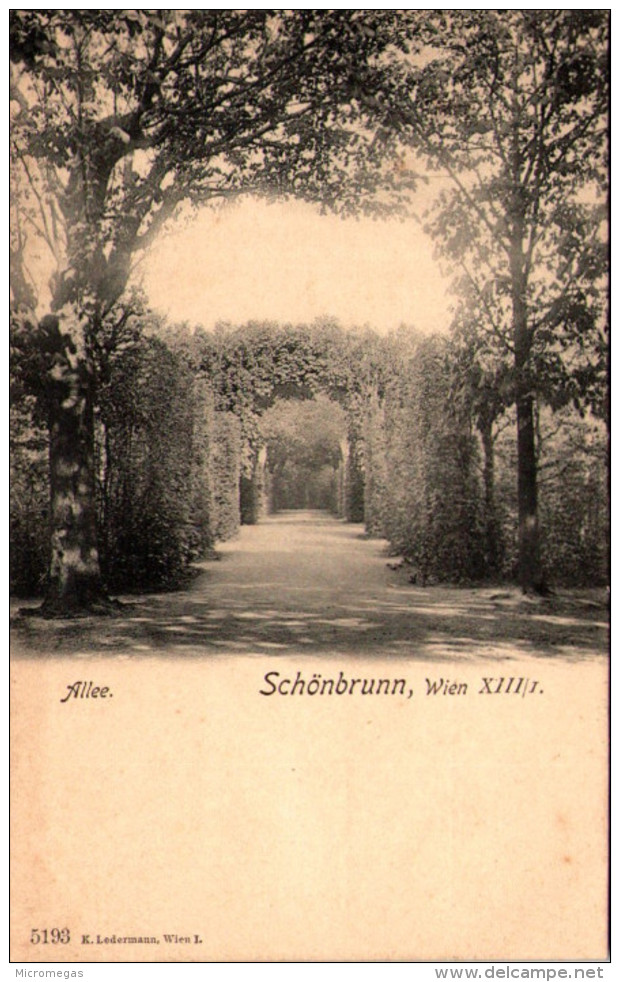 WIEN - Schönbrunn - Château De Schönbrunn