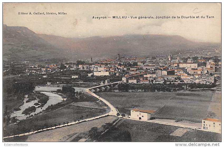 Millau       12       Joncion De La Tourbie Et Du Tarn - Millau