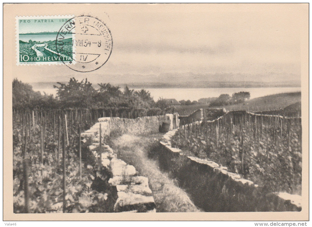 CARTE MAXIMUM  - SUISSE  N° 549  AUVERNIER    LAC DE NEUCHATEL - Cartoline Maximum