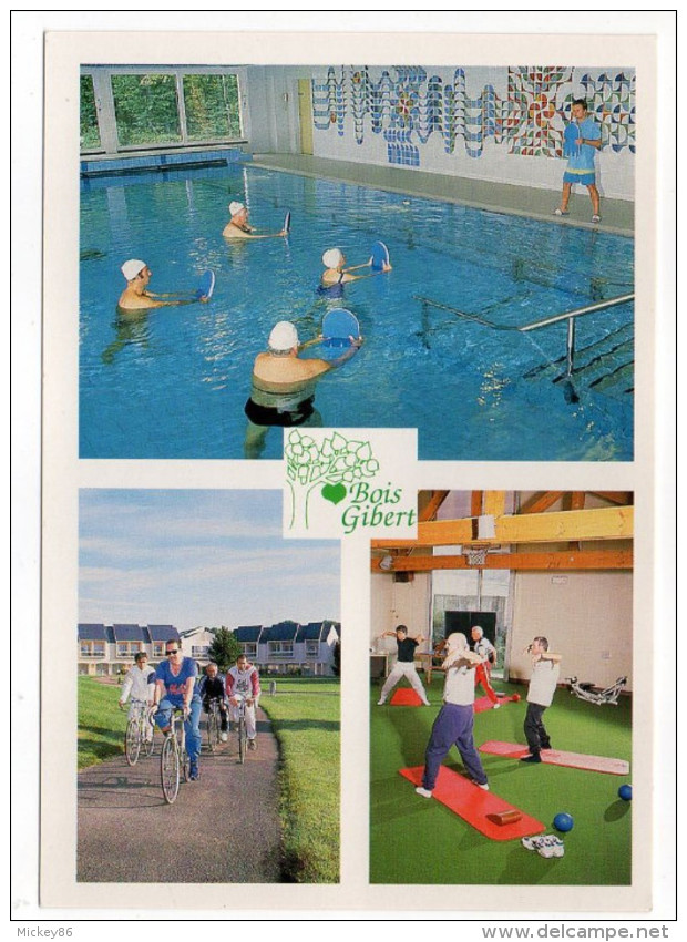 BALLAN-MIRE--2001--Bois-Gibert-Centre De Réadaptation Cardio-Vasculaire--Multivues (animée,vélo),cpm éd Reportage 37 - Ballan-Miré
