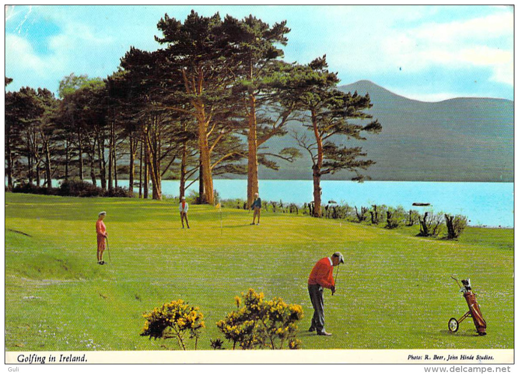 Ireland * GOLFING In Irland  (Golf) (timbre Stamp EIRE)(John Hinde Phtoto R.Beer 2/393)PRIX FIXE - Autres & Non Classés
