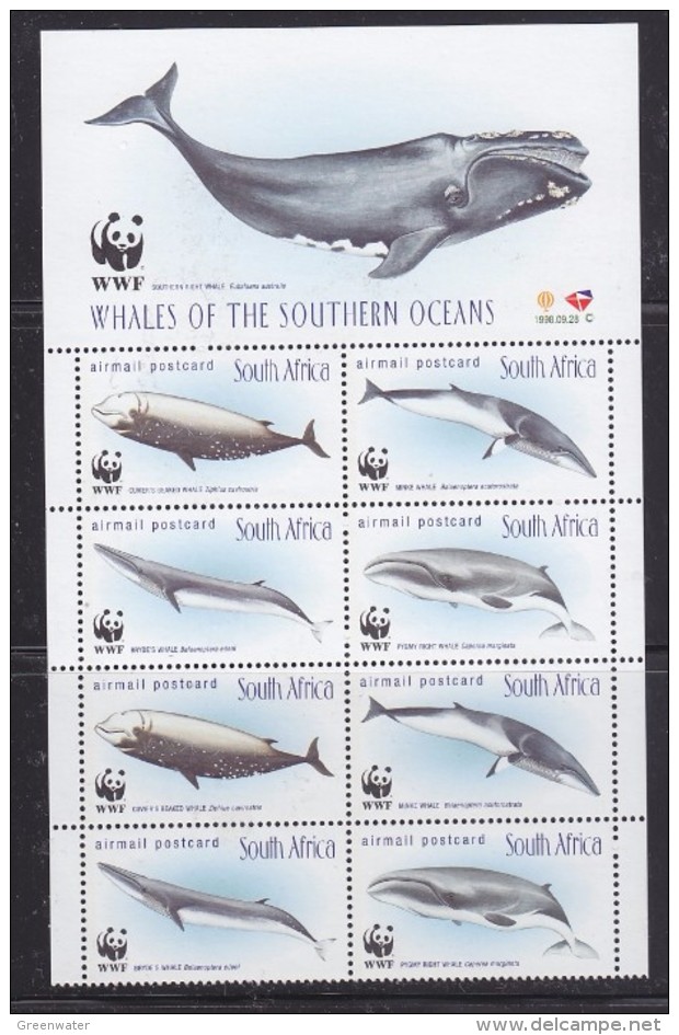 South Africa 1998 WWF/Whales 2x4v (+margin)  ** Mnh (32505) - Ongebruikt