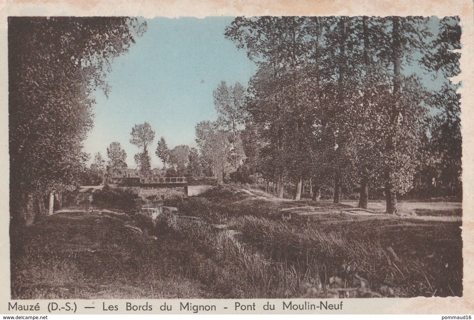 CP Mauzé Les Bords Du Mignon - Pont Du Moulin-Neuf - Mauze Sur Le Mignon