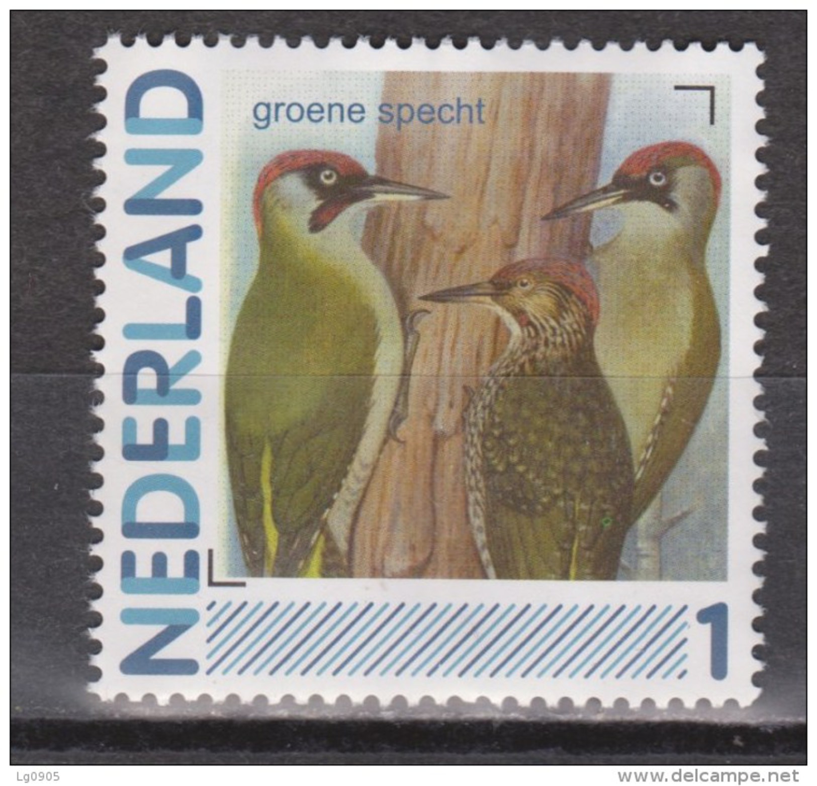 NVPH Netherlands Nederland Niederlande Pays Bas Holanda MNH; Specht, Pic, Pico, Woodpecker Groene Specht - Spechten En Klimvogels