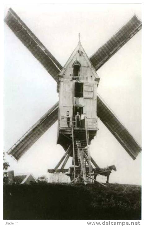 RIJMENAM Bij Bonheiden (Antw.) - Molen/moulin - De Verdwenen Houten Molen Van Peulis Nog In Bedrijf. Met Paard En Wagen! - Bonheiden