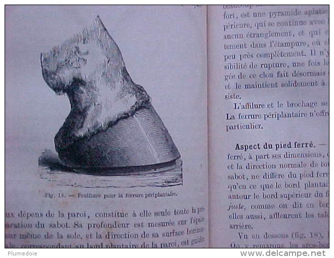 EO 1887 , ANDRE SANSON : ALIMENTATION RAISONNEE DES ANIMAUX , LA MARECHALERIE ( 1882 ) reliés en un volume