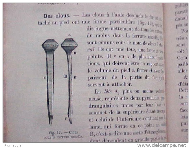 EO 1887 , ANDRE SANSON : ALIMENTATION RAISONNEE DES ANIMAUX , LA MARECHALERIE ( 1882 ) reliés en un volume