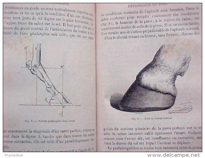 EO 1887 , ANDRE SANSON : ALIMENTATION RAISONNEE DES ANIMAUX , LA MARECHALERIE ( 1882 ) reliés en un volume