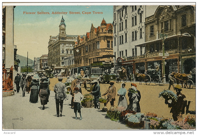 Cape Town Flower Sellers Adderley St Tramway Tram  Used To Den Haag Holland - Afrique Du Sud