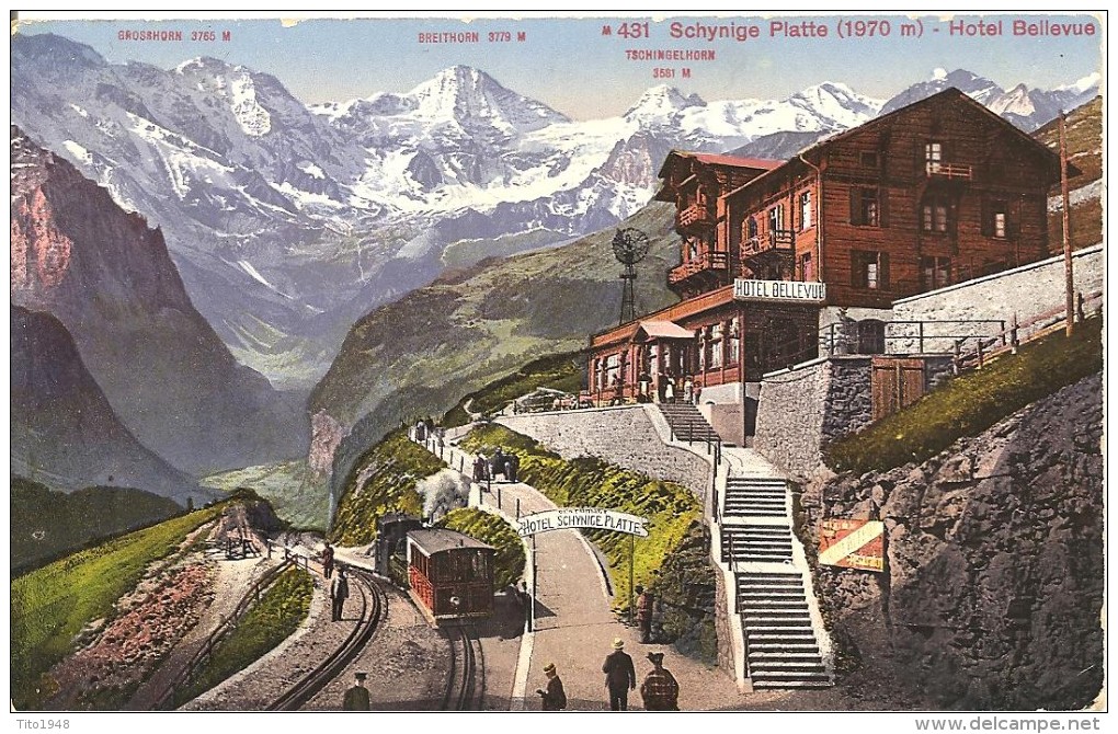 Schweiz, 1914, Mürren, Schynige Platte, Bahn, Rubigen Nach Laufenburg, Siehe Scans! - Laufenburg 