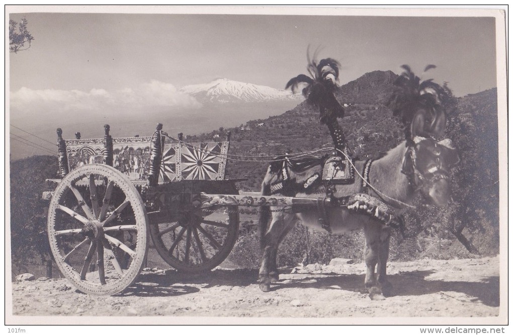 ITALIA - Sicilia Messina TAORMINA  Carretto Asino, Donkey - Anes