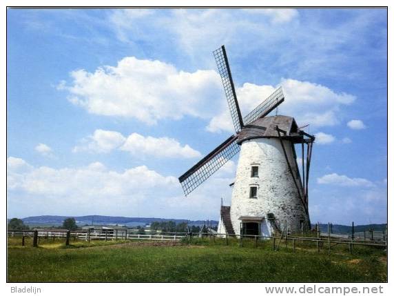 RONSE (Oost-Vlaanderen) - Molen / Moulin - Prachtige Historische Opname Van De Triburymolen Voor De Stormramp Van 1990. - Renaix - Ronse