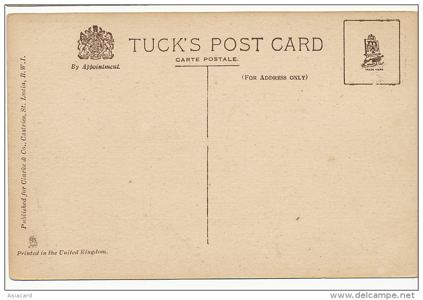A Sheep Farm St Lucia Tuck Post Card Published By Clarke And Co Castries B.W.I. - Sainte-Lucie