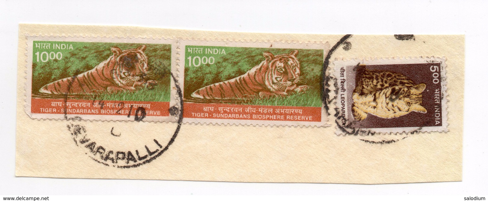 F2226 - Tiger Cat Leopard   - India - Used Stamps