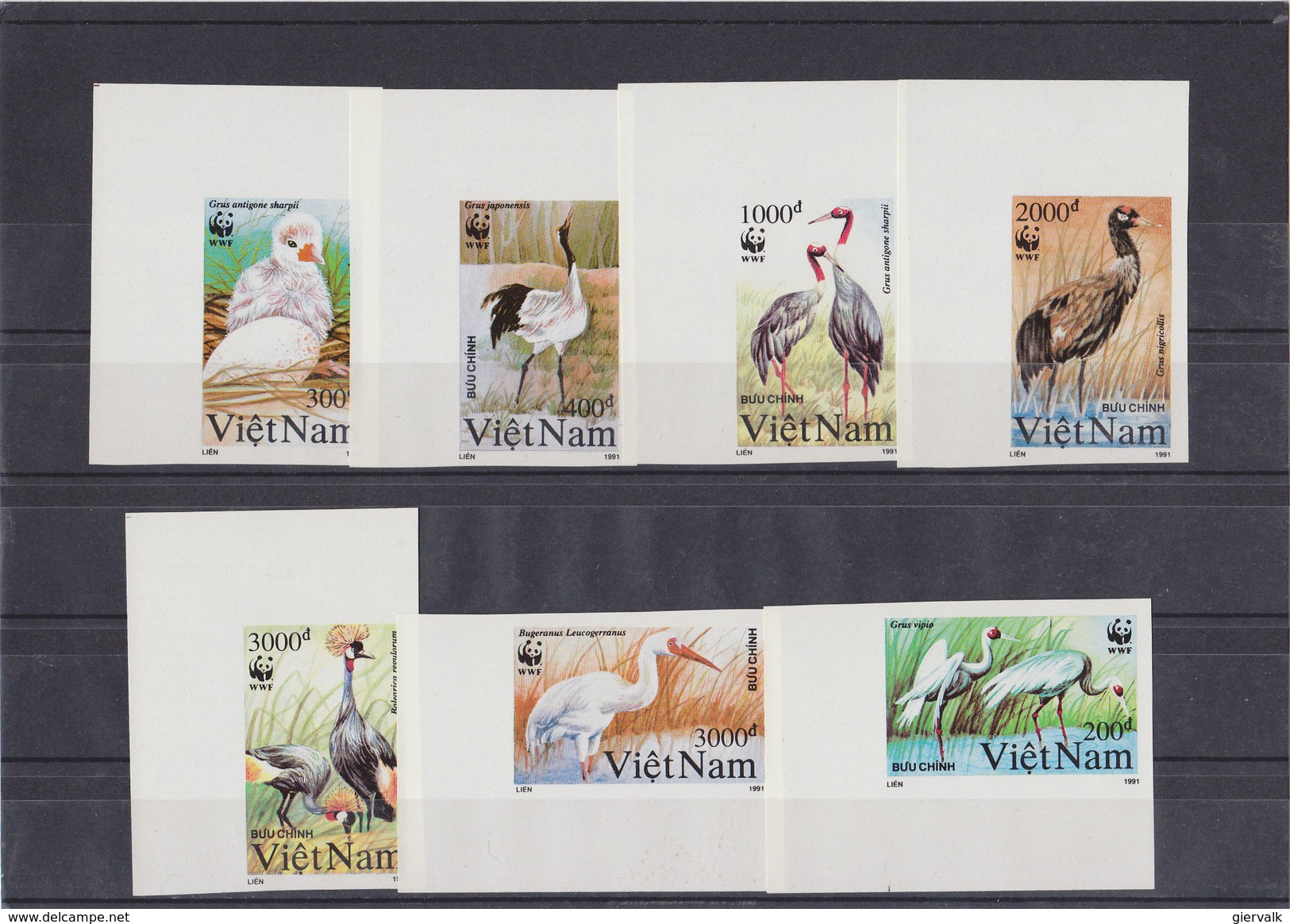 VIETNAM 1991 WWF Imperforated MNH With Birds. - Ongebruikt