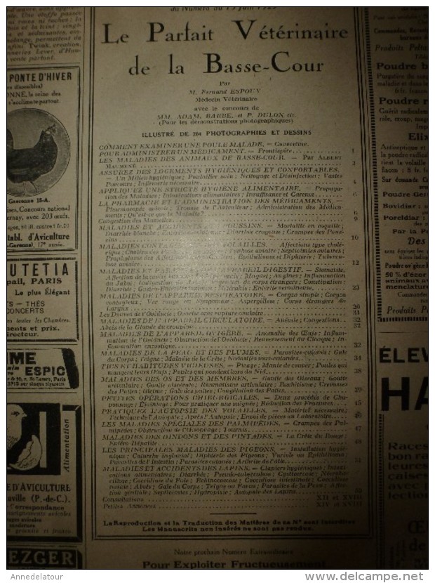 1923 VIE à La CAMPAGNE: N° EXTRAORDINAIRE ----> LE PARFAIT VETERINAIRE DE LA BASSE-COUR ; Publicités; Etc - 1900 - 1949