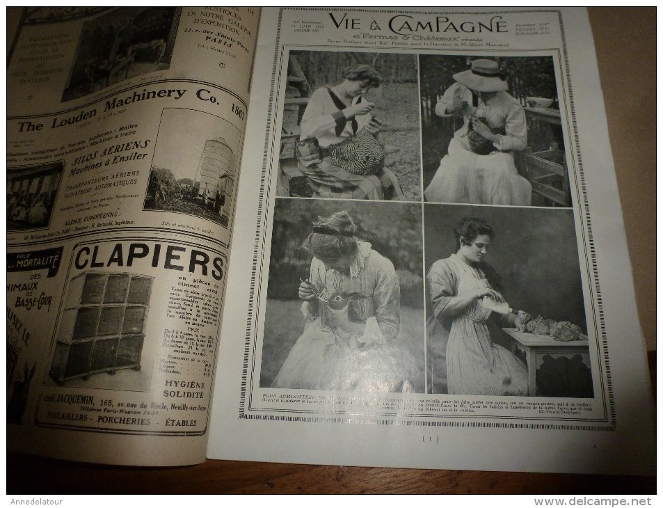 1923 VIE à la CAMPAGNE: N° EXTRAORDINAIRE ----> LE PARFAIT VETERINAIRE DE LA BASSE-COUR ; Publicités; etc