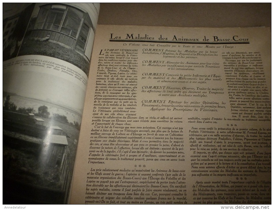 1923 VIE à la CAMPAGNE: N° EXTRAORDINAIRE ----> LE PARFAIT VETERINAIRE DE LA BASSE-COUR ; Publicités; etc