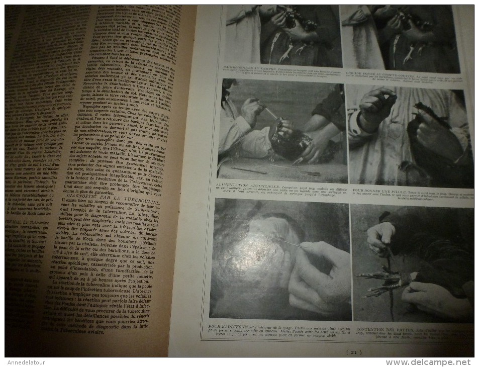 1923 VIE à la CAMPAGNE: N° EXTRAORDINAIRE ----> LE PARFAIT VETERINAIRE DE LA BASSE-COUR ; Publicités; etc