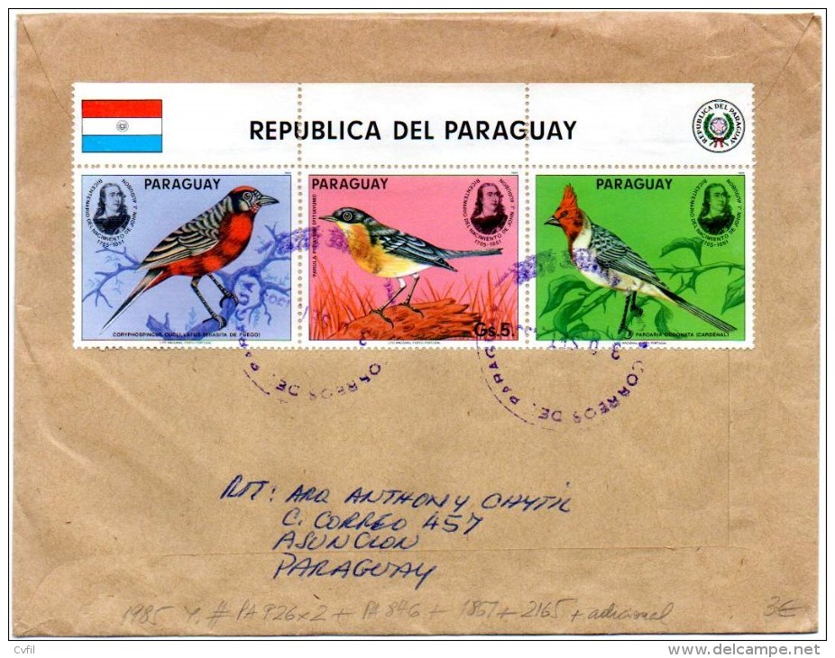 PARAGUAY 1985 - Registered Air Cover From Asuncion To Buenos Aires, Argentina. Birds, Audubon, Costume, Aircraft. - Paraguay