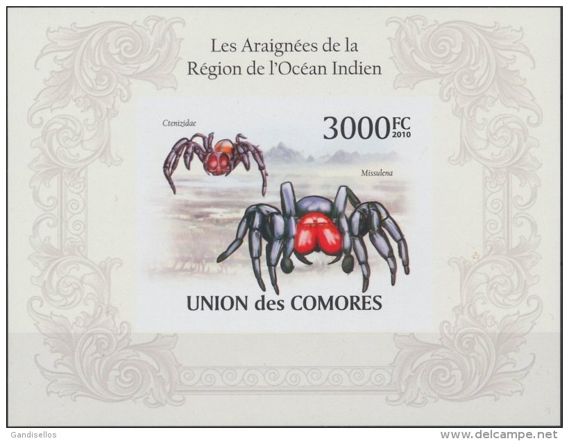 COMORES SHEET IMPERF INSECTS SPIDERS IN THE REGION OF THE INDIAN OCEAN - Spinnen