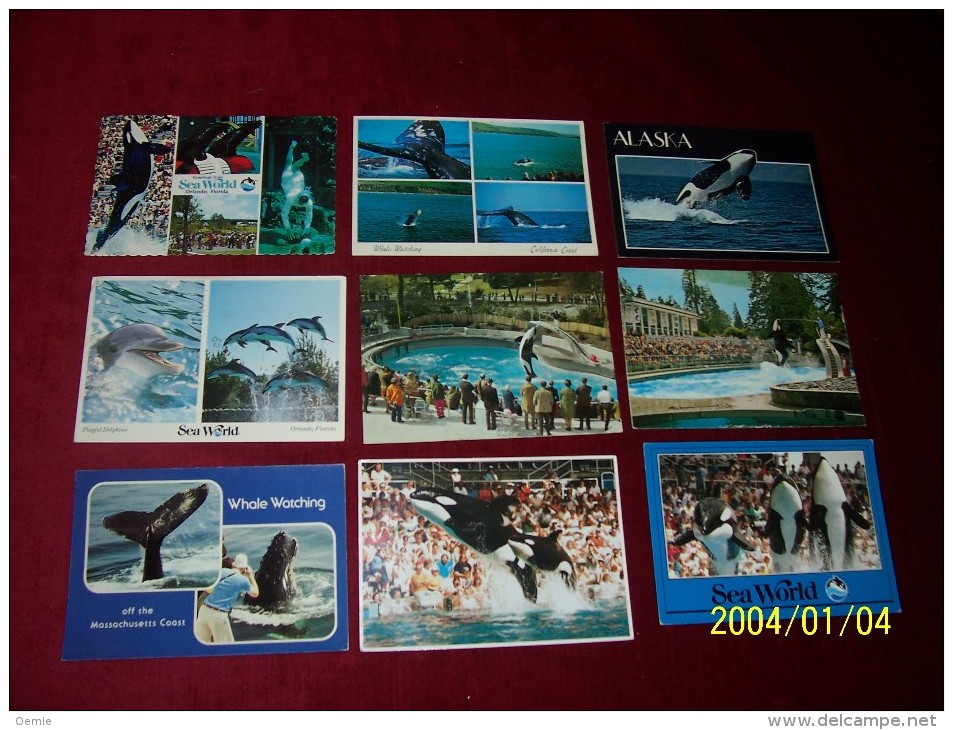 LOT DE 9 CARTES   POSTALE SUR  LE THEME DES DAUPHINS - Dauphins