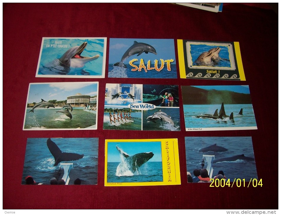 LOT DE 9 CARTES   POSTALE SUR  LE THEME DES DAUPHINS - Dauphins