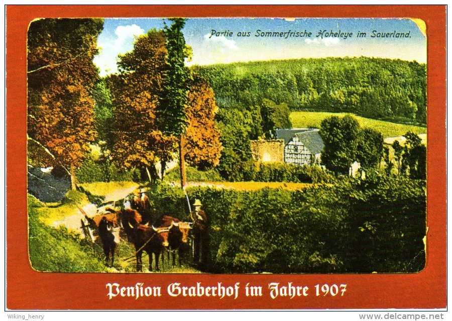 Winterberg Hoheleye - Gasthof Pension Graberhof 2 - Winterberg