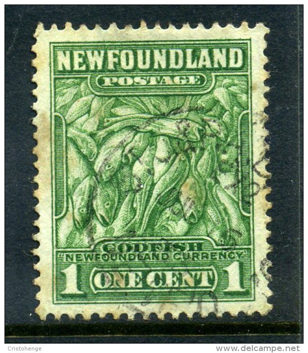 Newfoundland 1932 Definitives - 1c Atlantic Cod Used (SG 209) - 1908-1947