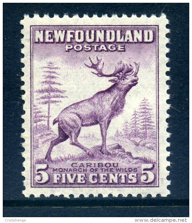 Newfoundland 1932 Definitives - 5c Caribou HM (SG 213) - 1908-1947