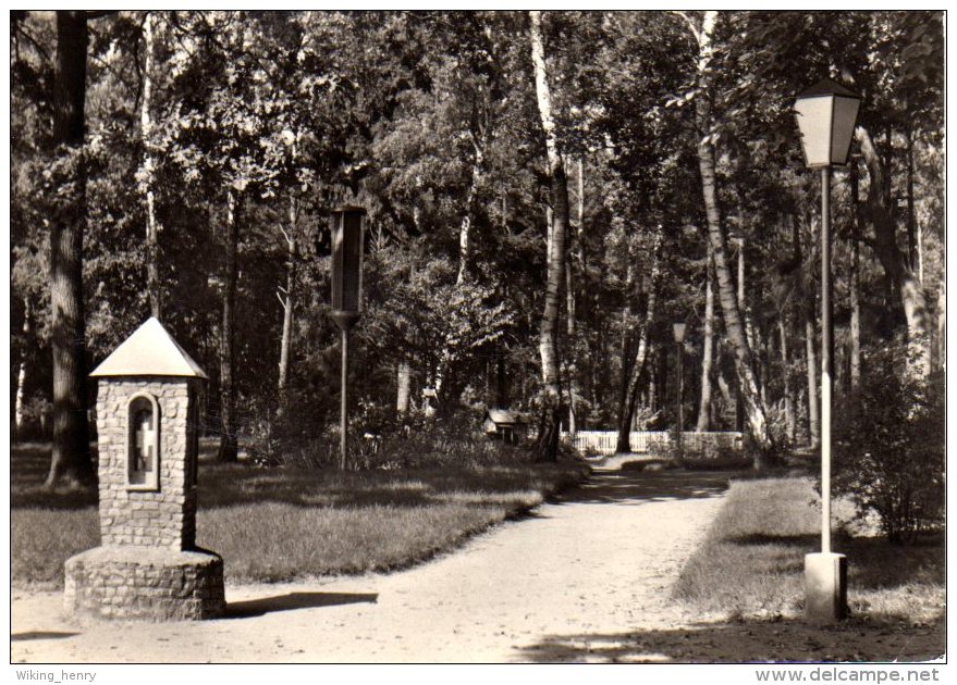 Zerbst Lindau - S/w Diätsanatorium Eingang Zum Kurpark - Zerbst