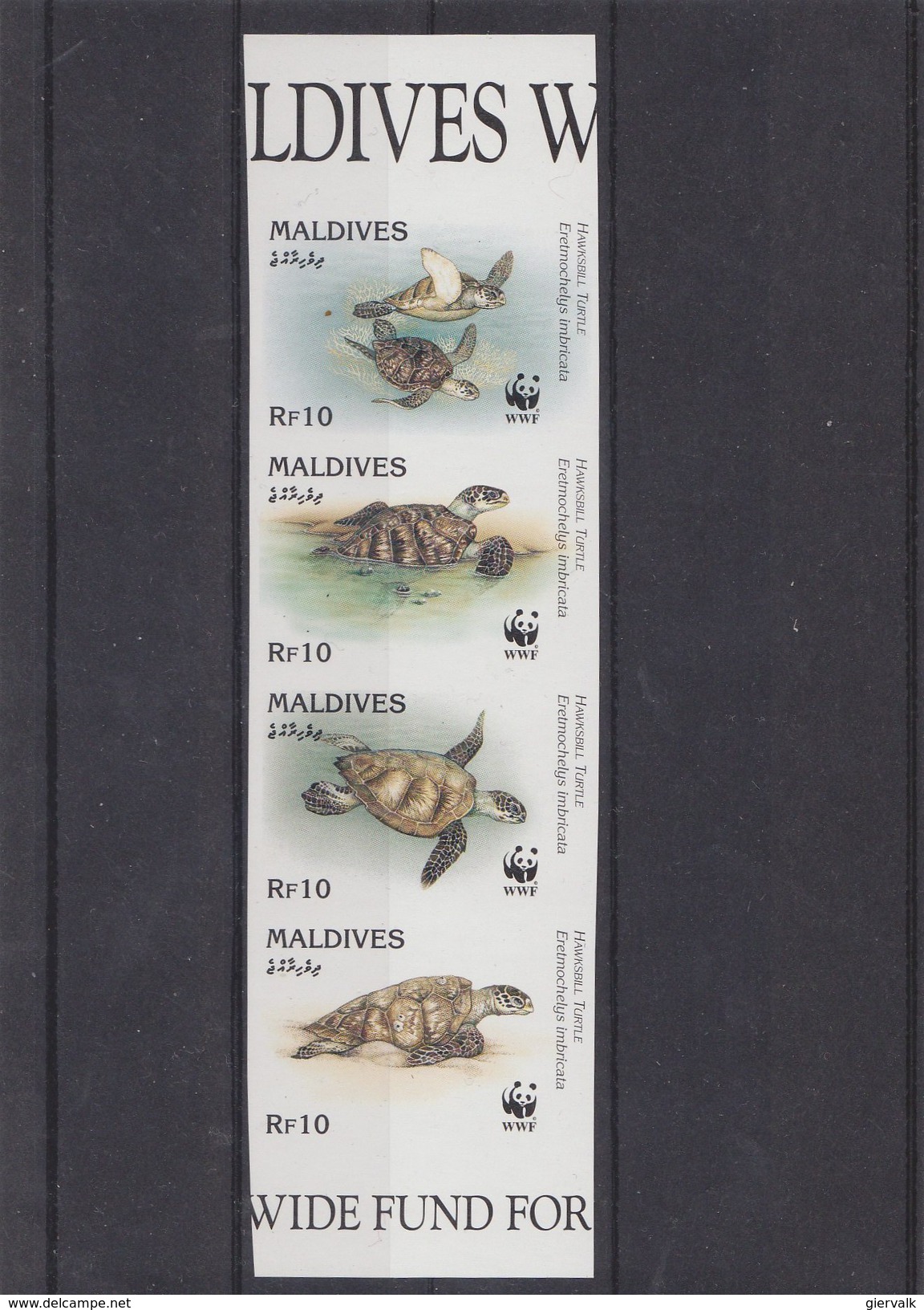 MALDIVES 1995 WWF Imperforated MNH With Sea Turtles. - Unused Stamps