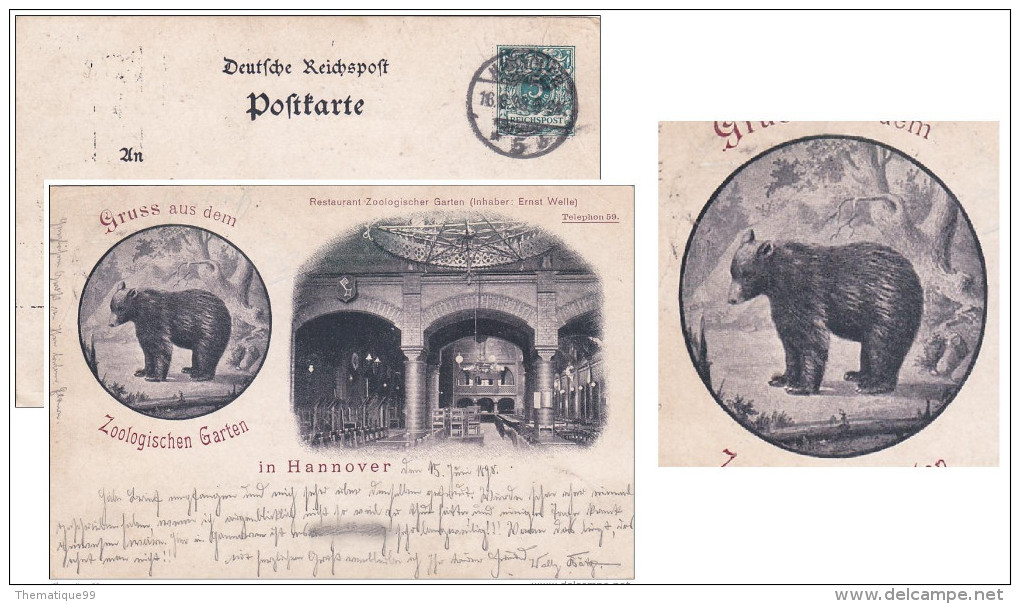 - Entier Postal Allemand Timbré Sur Commande Illustré Ours (bear, Bären), Jardin Zoologique, Restaurant (1898) - Ours