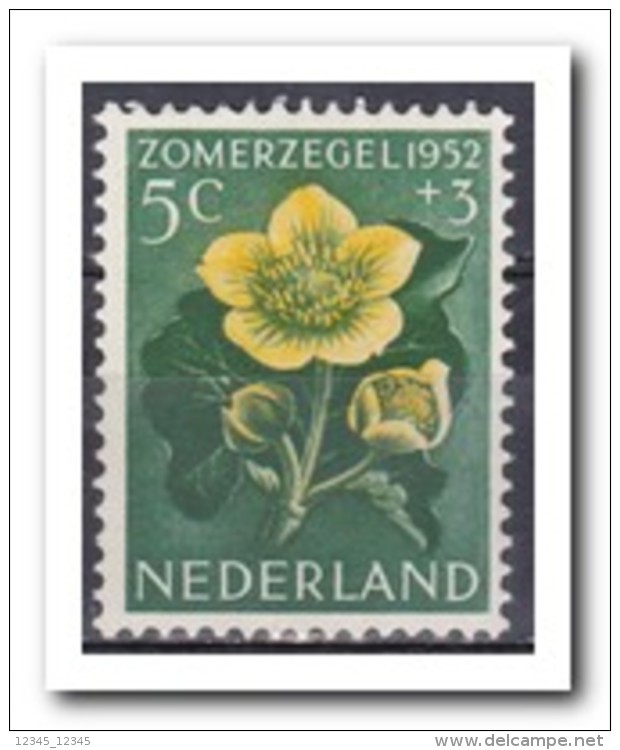 Nederland 1952, Postfris MNH, 584 PM2 - Variedades Y Curiosidades