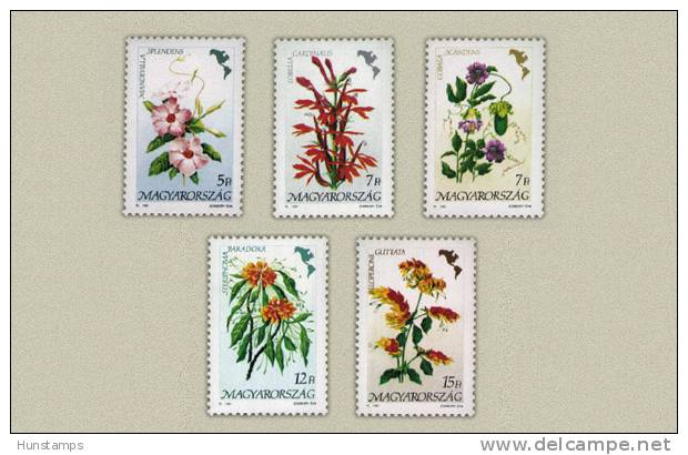 Hungary 1991. Flowers Of America Complete Set MNH (**) Michel: 4125-4129 / 5 EUR - Nuovi