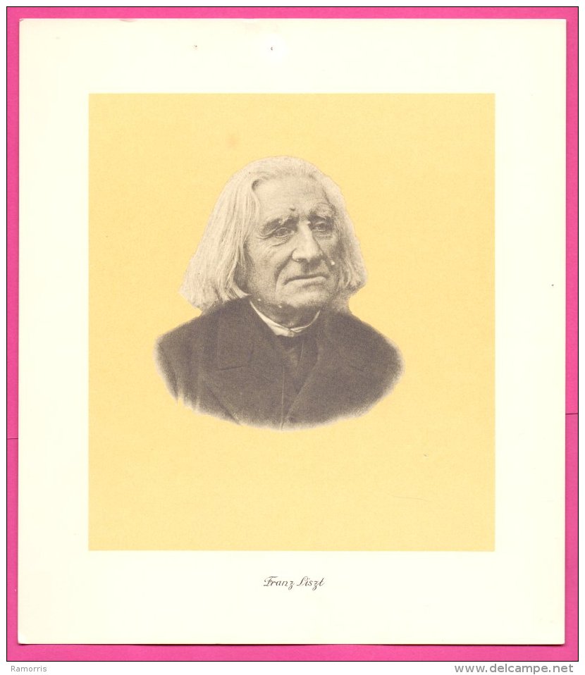 PIC00081 Duotone Drawing Of Composer Franz Liszt (pinholes) - Collections