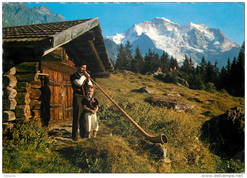 Alpenhorn, Wengen, BE Bern, Switzerland Postcard Posted 1966 Stamp - Berne