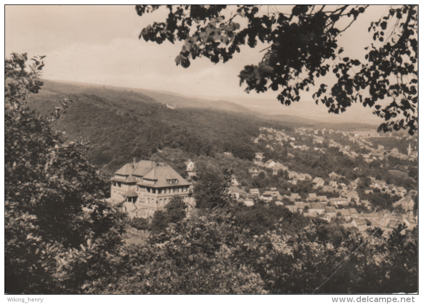 Quedlinburg Gernrode - S/w Blick Vom Aussichtsturm Einzelnes Bäumchen - Quedlinburg