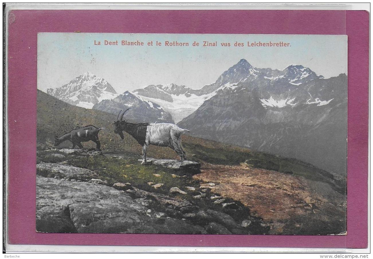 LA DENT BLANCHE ET LE ROTHORN DE ZINAL VUS DES LEICHENBRETTER ( Chêvres ) - Autres & Non Classés